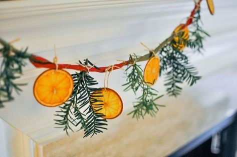 Diy Dried Citrus, Rosemary Garland, Dried Citrus Garland, Garland Decor Ideas, Christmas In Heaven Diy, Diy Rustic Christmas Decorations, Citrus Garland, Diy Rustic Christmas, Evergreen Garland