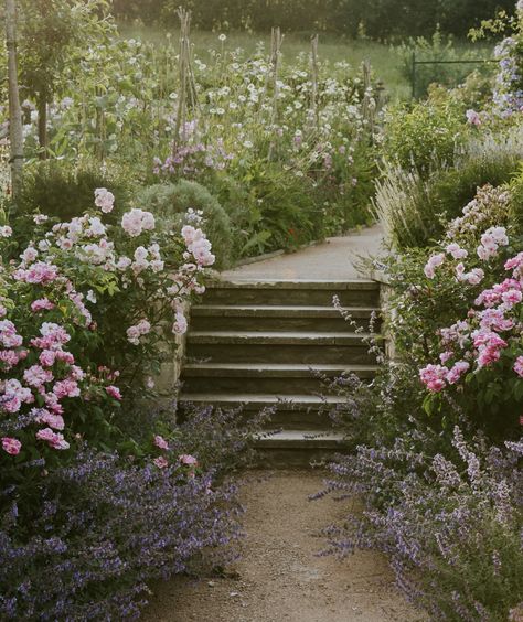 Libby Russell Garden With Flowers, Beauty Flowers, Japanese Flower, Areas Verdes, Annual Plants, Garden Cottage, Country Gardening, English Garden, Elegant Floral