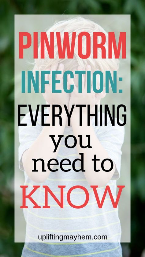 Does your child have a Pinworm Infection? Here is everything you need to know from symptoms, treatments, prevention and more! Get full details of what the pinworm infection is. Pinworms Symptoms, Pinworms In Children, What Is Sleep, Newborn Sleep Schedule, Healthy Children, Raspberry Leaf Tea, Kids Fever, Family Projects, Natural Pregnancy