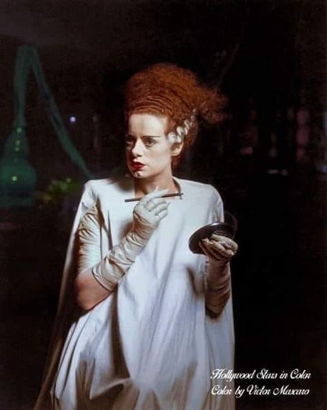 Bride Of Frankenstein Costume, Universal Horror, Redhead Characters, Frankensteins Monster, Horror Classics, Elsa Lanchester, Classic Monster Movies, Frankenstein Art, Halloween Bride