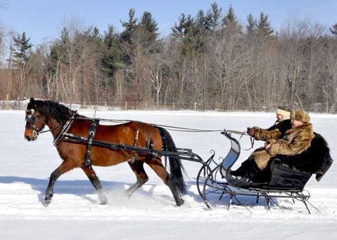 HORSE AND SLAY | Liz and Dave Herrick enjoying the ride! Christmas Sleighs, Driving Horses, Horse Drawn Sleigh, Snow Sleds, Winter Pics, One Horse Open Sleigh, Sleigh Rides, Carriage Driving, Christmas Horse