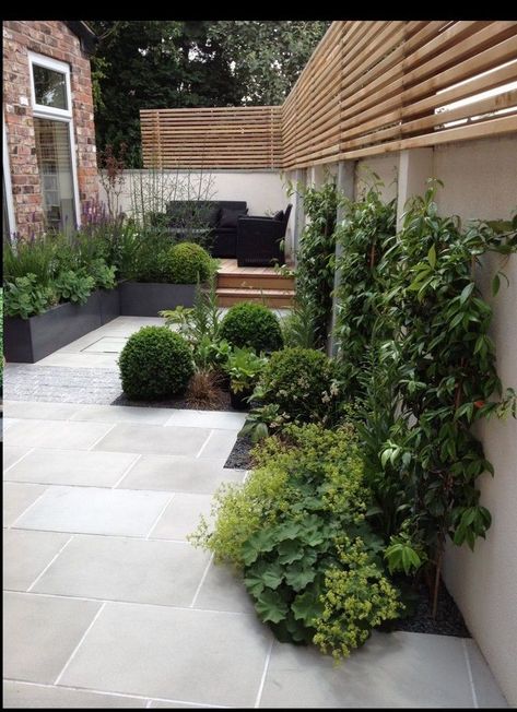 Small Courtyard, Jardim Diy, Small Courtyard Gardens, Courtyard Gardens Design, House Gallery, Modern Garden Design, Cottage Gardens, Landscape Designs, Have Inspiration