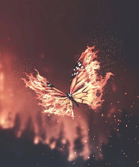 Magic Aesthetic, Butterfly Art, Character Aesthetic, A Butterfly, Aesthetic Backgrounds, Beautiful Butterflies, Writing Inspiration, Aesthetic Pictures, Profile Picture