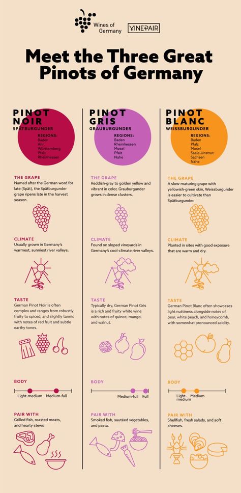 Meet Germany’s Three Great Pinots [INFOGRAPHIC] | VinePair Wine Infographic Design, Wine Infographic, Wine Paring, Wine Presentation, Wine Chart, Wine Facts, Wine Sommelier, German Wine, Wine Variety