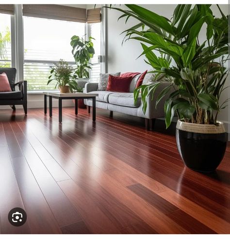 Cherry Hardwood Floors Living Room Decor, Brazilian Cherry Hardwood Flooring, Brazilian Cherry Wood, Cherry Hardwood Flooring, Living Room Hardwood Floors, Brazilian Cherry Floors, Cherry Wood Floors, Cherry Floors, Living Room Wood Floor