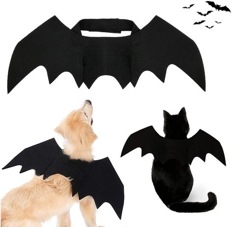 Dog Shark Costume, Cute Dog Costumes, Dog Costumes Funny, Bat Animal, Bat Costume, Diy Dog Costumes, Pet Halloween Costumes, Puppy Photos, Halloween Bat