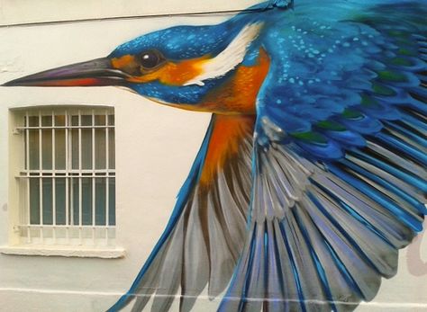 Kingfisher  east dulwich wall art Bird Mural, Street Art Illusions, Street Art Utopia, Wall Street Art, Sidewalk Art, Street Mural, Street Wall Art, Best Street Art, Urban Street Art