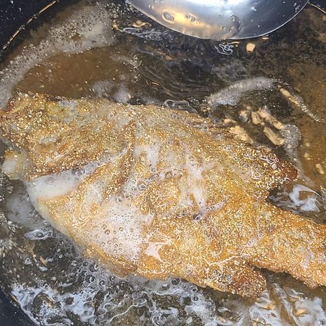 Fried Bream Whole Fish Fry Recipe, Bluegill Recipe, Sea Bream Recipes, Fried Whole Fish, Whole Fish Recipes, Tahini Salad Dressing, Tahini Recipe, Whole Fish, Fish Dinner Recipes