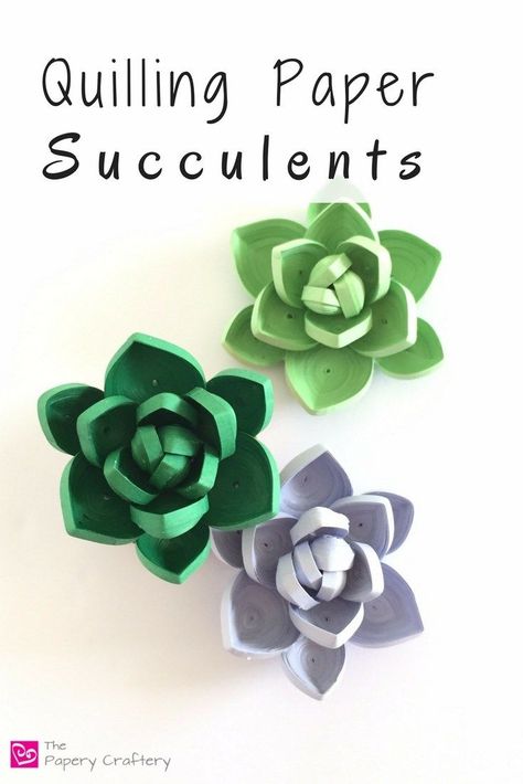 Paper Quilled Cactus, Quilling Succulent Plants, Paper Twilling, Quilled Succulents, Quilling Succulents, Crafting Ornaments, Flowers Quilling, Quilled Roses, Quilling Comb