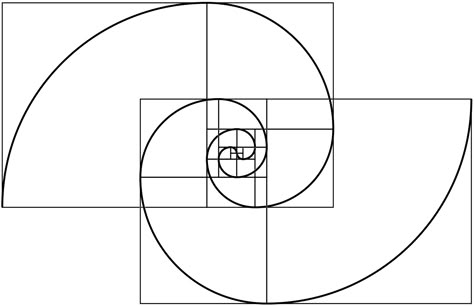 Combined a fibonacci with a fermat spiral - Imgur                                                                                                                                                     More Fibonacci Spiral Art, Fibonacci Tattoo, Fibonacci Golden Ratio, Golden Section, Golden Mean, Divine Proportion, Spiral Art, Golden Spiral, Fibonacci Sequence