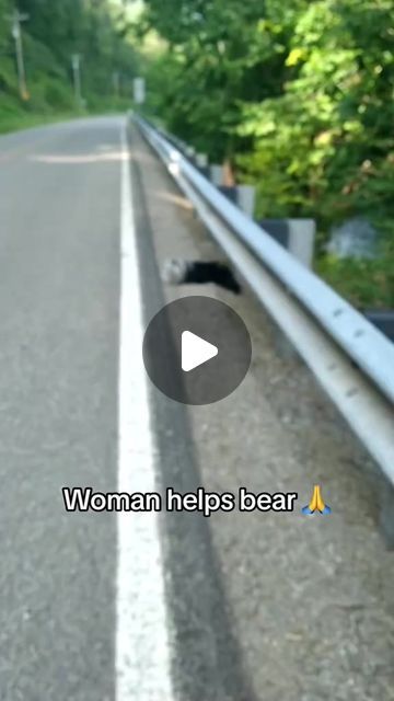 Southeastern Nurseries LLC on Instagram: "Thank you for saving the bear! 🐻 This video is from @sarahjlindgren on TikTok. #AnimalLove #animals #animalfeature #gardening #landscaping #CommercialLandscaping" Rescuing Animals, Saving Animals, Animal Attack, Gardening Landscaping, Commercial Landscaping, Wow Video, Tuxedo Cat, Animal Videos, Amazing Animals