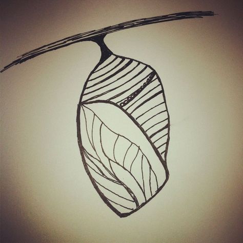 Chrysalis Drawing, Cocoon Drawing, Cocoon Butterfly, Butterfly Cocoon, Butterfly Chrysalis, Butterfly Drawing, Doodle Lettering, Ap Art, Drawing Easy