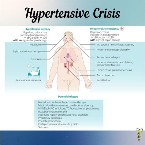 Medgeeks on Instagram: “Hypertensive Crisis  #pastudent #palife #physicianassistant #medstudent #medicalstudent #medicine #nursestudent #nursepractitioner…” Hypertensive Crisis, Psych Nursing, Pa Life, Increase Blood Pressure, Physician Assistant, Nursing Study, Med Student, Nurse Practitioner, Medical Students