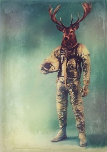 Without Words Art Print by rubbishmonkey | Society6 #astronaut #illustration Space Man, Psy Art, Space Suit, Animal Heads, In Space, Antlers, Word Art, Collage Art, Mammals