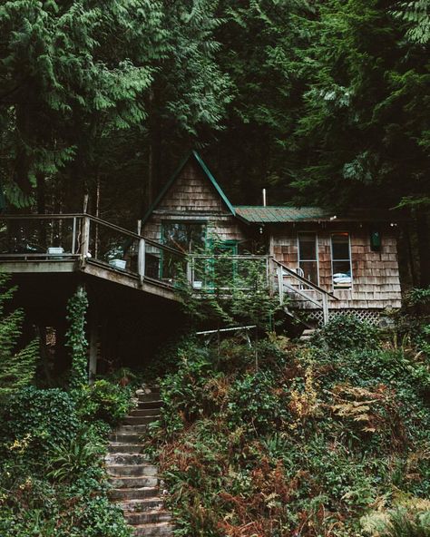 A House In The Woods, Forest Cabin, Cottage In The Woods, Little Cabin, Dream Cottage, Design Seeds, Cabins And Cottages, Cabin Life, Forest House