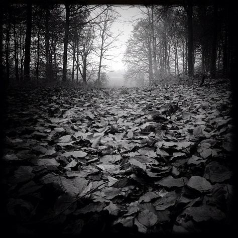 Fallen by DZine_, via Flickr | #lomo #vignette #landscape #bw #black #white #grey #iphoneography Vignette Photography, Gothic Interior Design, Gothic Interior, Art Sites, Ways Of Seeing, Black N White, Digital Photography, Borders, Photography Inspiration