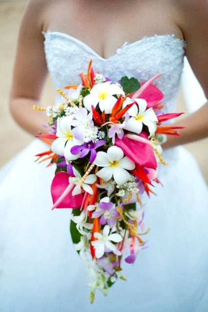 Tropical bouquet! but with orchids instead of frangipani Wedding Perfumes, Tropical Flowers Bouquet, Pretty Wedding Bouquet, Small Bridesmaid Bouquets, Tropical Bridal Bouquet, Orange Wedding Bouquet, Tropical Wedding Bouquets, Tropical Bouquet, Tropical Flower Arrangements