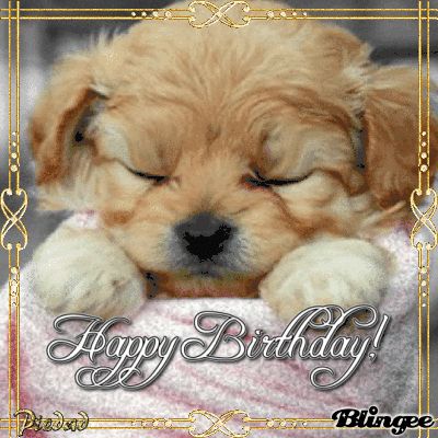 Happy Birthday Dog Gif, Happy Birthday Animation, Birthday Animation, Happy Birthday Animated, Happy Birthday Puppy, Gif Quotes, Puppies Gif, Animation Images, Happy Birthday Dog