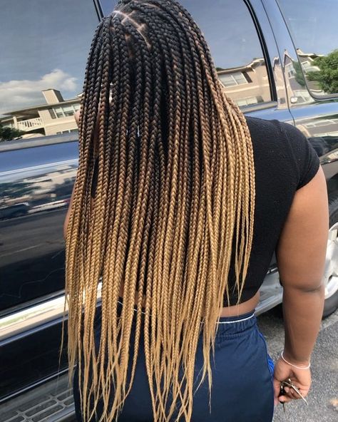 Antarnesha Blue on Instagram: “Ombre box braids 💛✨💛✨💛 Braid hair used @luxidarahair Color: "Salted Caramel" #boxbraids #smallboxbraids #smediumbraids #mediumbraids…” Ombre Braids, Ombre Box Braids, Small Box Braids, Ombre Braid, Silver Blonde Hair, Blonde Box Braids, Short Box Braids, Jumbo Box Braids, Long Box Braids