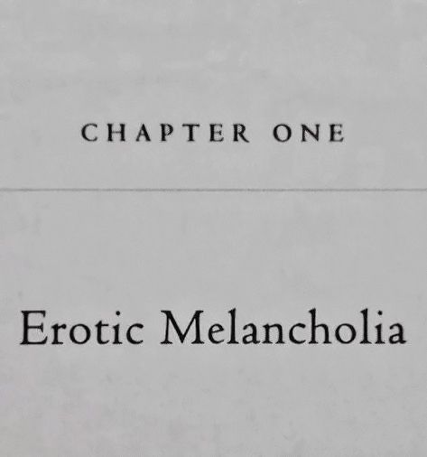 erotic melancholia aesthetic Melancholia Aesthetic, Boarding School Packing List, Hannibal Abigail, Poetry Inspiration, Chapter One, Pretty Words, Pretty Quotes, Poetry, Reading