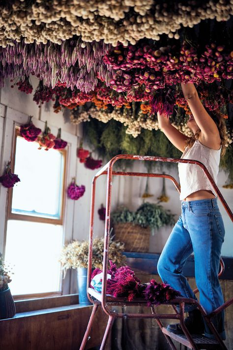 Full Belly Farm Is a Stunning Flower-Filled Paradise Dried Flower Farm, Flower Farmer Photoshoot, Dried Flower Workshop, Dried Flowers Ceiling, Flower Farm Ideas, Farmers Market Flower Display, Flower Store Aesthetic, Farm Store Ideas, Flower Photoshoot Creative