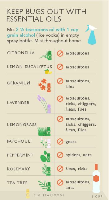 Essential oils for bug repellants Oil Remedies, Diy Kosmetik, Yl Essential Oils, Essential Oil Mixes, Bug Spray, Bug Repellent, Oil Mix, Young Living Oils, Doterra Oils