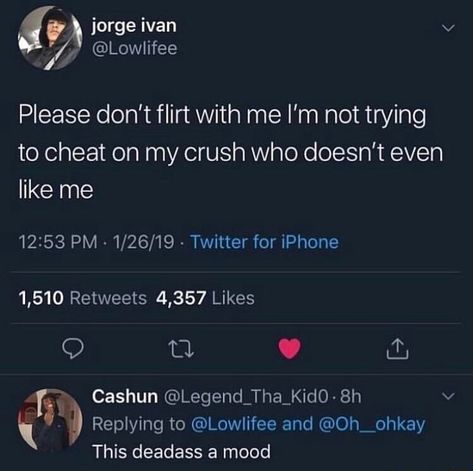 Please don't flirt with me I’m not trying to cheat on my crush who doesn't even like me - iFunny :) Crush Quotes Funny, Hopeless Crush Quotes, Funny Crush Memes, Crush Quotes For Him, Secret Crush Quotes, Crush Humor, Crush Memes, Relatable Crush Posts, She Quotes