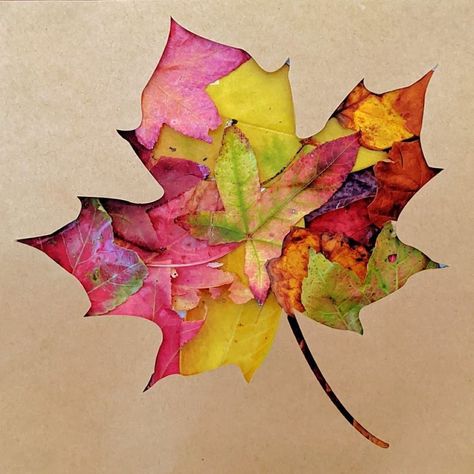 Happy First Day Of Fall, Nature Hunt, Leaf Collage, Fall Art Projects, Sensory Garden, First Day Of Fall, Invitation To Play, Simple Christmas Decor, Nature Play