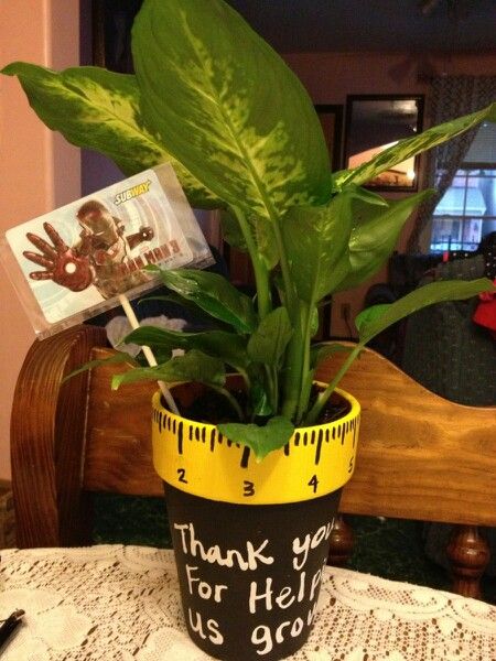 Great for a male teacher, green plant n manly gift card ;)