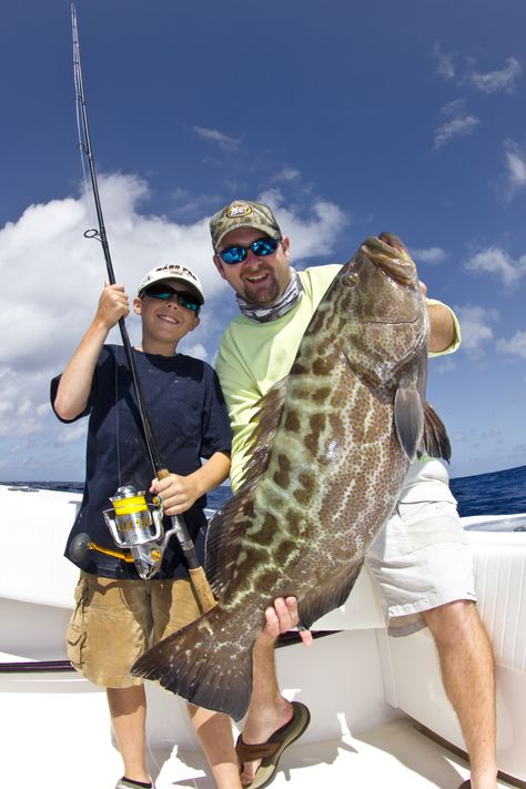 Saltwater Fishing Gear, Grouper Fish, Salt Water Fishing, Bass Fishing Tips, Bowfishing, Fishing Pictures, Fishing Techniques, The Florida Keys, Fishing Charters