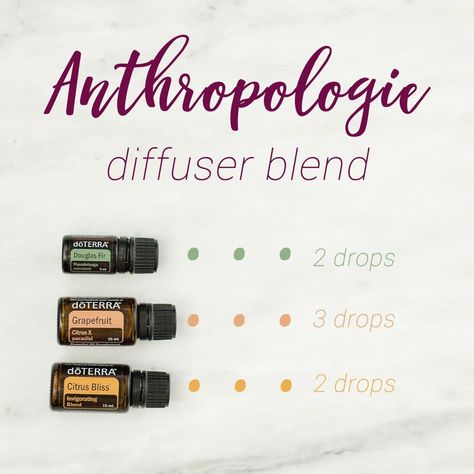 anthropologie diffuser blend Summer Diffuser Blends, Doterra Diffuser, Doterra Diffuser Blends, Essential Oil Diffuser Blends Recipes, Essential Oil Diffuser Recipes, Oil Diffuser Recipes, Diffuser Blend, Diffuser Recipes, Essential Oil Diffuser Blends