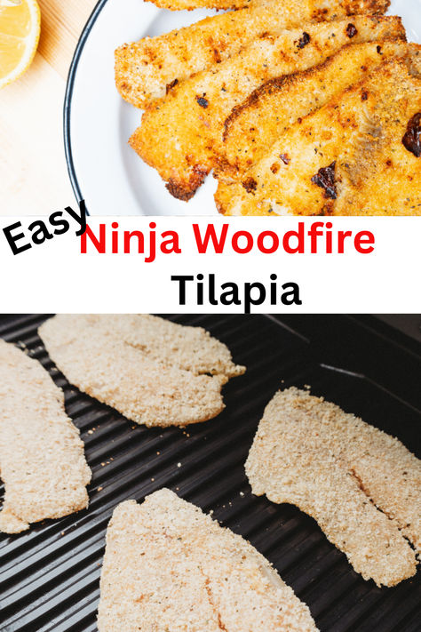 Ninja Woodfire grill  Tilapia tips and tricks designed to elevate your outdoor smoking game to the next level. From perfect sears to tantalizing flavors, become a woodfire grill pro now! #GrillingTips #WoodfireMastery, Smoker Cooking, Smoker Grill Recipes, Wood Fire Grill Recipes, Smoked Barbecue Recipes Ninja Sizzle Grill Recipes, Ninja Woodfire Grill Recipes Chicken, Ninja Woodfire Grill Recipes, Grilled Tilapia Recipes, Ways To Cook Tilapia, Wood Fire Grill Recipes, Wood Fire Grill, Ninja Woodfire Grill, Healthy Bbq Recipes