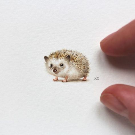 I Started Drawing Miniature Paintings Because I Did Not Have Time For Bigger Drawings And Now It's My Passion Miniature Drawings, Hedgehog Tattoo, Hedgehog Drawing, Hedgehog Illustration, Art Mignon, Hedgehog Art, Art Et Illustration, Arte Animal, Art And Illustration