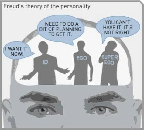 Freud Theory, Theories Of Personality, Ap Psychology, Psychology Quotes, Sigmund Freud, Psychology Facts, Psychiatry, Social Work, Research Paper