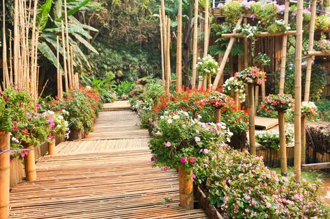 Bamboo Tunnel, Beach House Plans, Plant Covers, Children Play, Botanical Flowers, Beautiful Summer, Amusement Park, Walkway, Live Plants