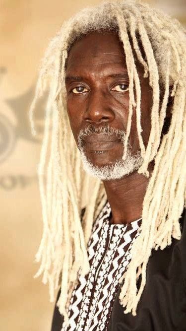 Blonde locs on man. White Dreadlocks, Blonde Dreadlocks, Photographie Portrait Inspiration, Dreadlock Hairstyles, Hair Reference, 인물 사진, Silver Hair, Black Is Beautiful, White Hair