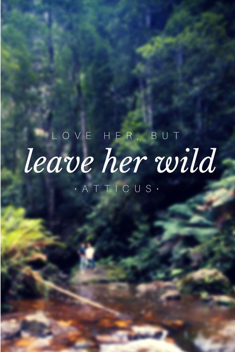 love her, but leave her wild • atticus Leave Her Wild, Wild Women Sisterhood, Quotes Couple, Hippie Quotes, Bohol, John Muir, Wild Woman, Nature Quotes, A Quote