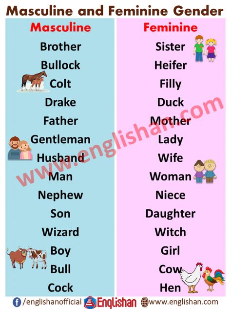 100 Examples of Masculine and Feminine Gender List Masculine And Feminine Worksheet, Gender Worksheet, Masculine And Feminine Gender, Feminine Words, Gender Of Animals, Opposite Words For Kids, Gender Words, Math Olympiad, Teaching Vocabulary