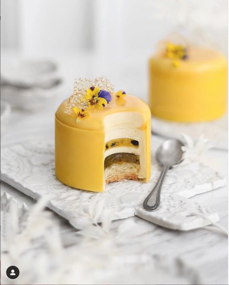 Passion Fruit Entremet, Passion Fruit Custard, Dairy Free White Chocolate, Passion Fruit Cake, Fruit Custard, White Chocolate Mousse, Dairy Free Yogurt, Fruit Jelly, Beautiful Desserts