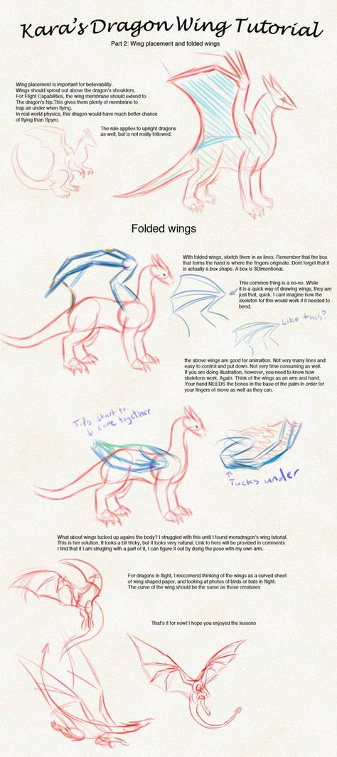 Dragon wing tutorial part 2 by https://www.deviantart.com/karatails on @DeviantArt How To Draw Dragons Wings, Dragon Wing Sketch, How To Draw A Dragon Wing, Dragon Wing Reference, Folded Dragon Wings Reference, How To Draw Dragon Wings, Dragon Drawing Sketches Step By Step, Folded Dragon Wings, Dragon Wing Drawing