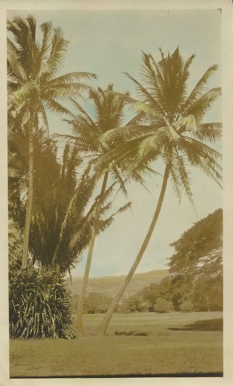 Vintage Hawaii Aesthetic, Vintage Hawaii Wallpaper, Old Hawaii Aesthetic, Old Hawaii, Aesthetic Hawaii Pictures Vintage, Vintage Hawaii Art, Hawaii 1950s, Vintage Hawaii Postcard, Vintage Hawaii