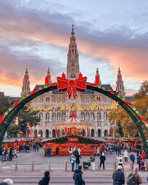 Vienna 🇦🇹 (@vienna_austria) • Instagram photos and videos Vienna In Winter, Vienna Christmas Market, Vienna Winter, Vienna Christmas, Swarovski Christmas, Travel Romance, Spiced Wine, Schönbrunn Palace, European Christmas