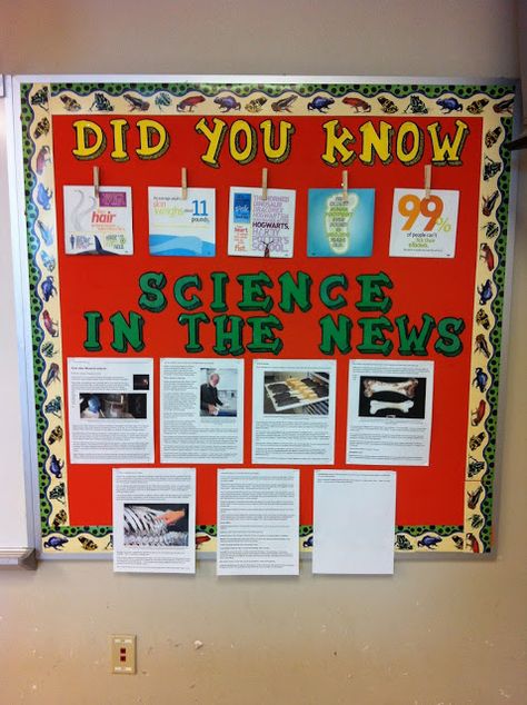 For the past 2 years, I've used one of my little bulletin boards as a homework/missed work board. At the end of the day, I put any papers we... High School Science Classroom, Science Display, Science Bulletin Boards, Middle School Science Classroom, Science Kids, Science Room, Science Classroom Decorations, Science Decor, Biology Classroom