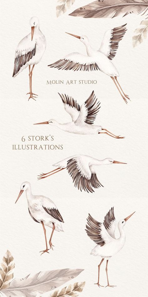 Unique Watercolor Stork's Clipart This set is perfect for creating decorations, handmade craft items, stationery, greeting cards, party invitations, scrapbooking, posters, stickers, clothes and everything you wonder. Social networking and promotions, packaging, covers, cases and more. Perfect for digital use and for print. Bird Baby Shower Theme, Stork Carrying Baby, Feather Watercolor, Bird Set Free, Fly Drawing, Birds Clipart, Stork Bird, Baby Stork, Stork Baby Showers