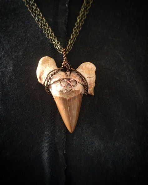 Wire Wrapped Shark Tooth, Arrowhead Jewelry, Shark Teeth Jewelry, Arrowheads Jewelry, Teeth Design, Wire Jewelery, Octopus Design, Shark Tooth Necklace, Teeth Jewelry