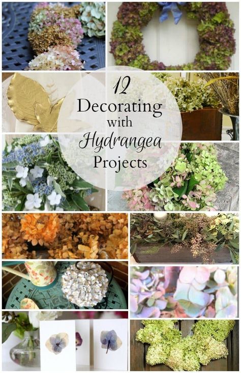 Dried Hydrangeas Centerpiece, Dry Hydrangea Arrangements, Hydrangea Flower Arrangements, Hydrangea Centerpiece, Hydrangea Arrangements, Dried Hydrangeas, Garden Art Projects, Easy Ideas, Hydrangea Flower