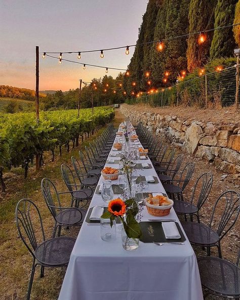 Patio Lighting Ideas, Outdoor Dinner Table, Waterproof Patio, Engagement Dinner, Patio Lights, Yard Wedding, Italy Wine, Napa Wedding, Outdoor Dinner