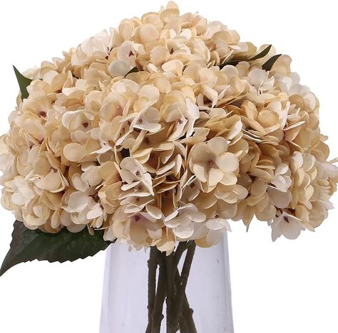 Amazon.com: Kimura's Cabin 6pcs White Silk Hydrangea Flowers Bouquets Faux Hydrangea Stems for Home Wedding Party Table Core Decoration (Ivory) : Home & Kitchen Festival Wedding Decorations, Fake Hydrangeas, Home Wedding Party, Hydrangea Colors, Artificial Floral Arrangements, Faux Hydrangea, Hydrangea Bouquet, Silk Hydrangeas, Wedding Party Table