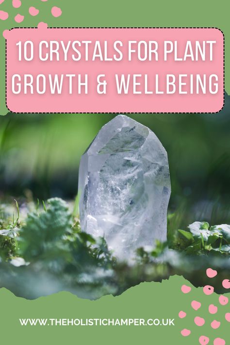 10 crystals for plants growth, plant health Crystals For House Plants, Crystals In Plants, Crystals For Plant Growth, Crystals For House, Crystals For Plants, Health Crystals, Plants And Crystals, Plants Crystals, Crystal Magick