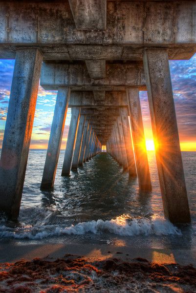 Venice Pier, on Florida's West Coast - USA Venice Beach Florida, Camera In Hand, Beach In Florida, Florida Pictures, Venice Florida, Fishing Photography, Beach Pier, Venice Travel, Florida Living